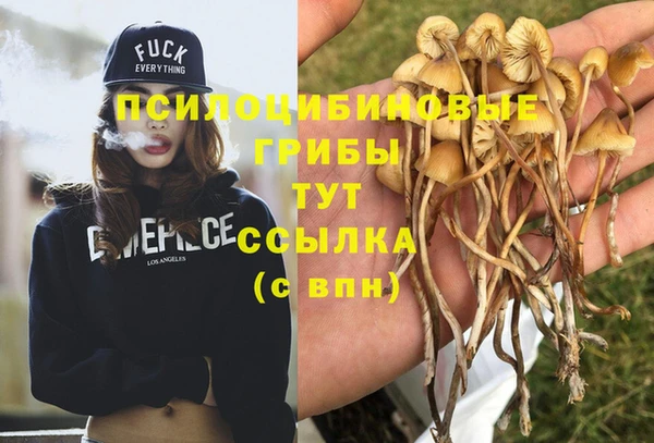экстази Инта