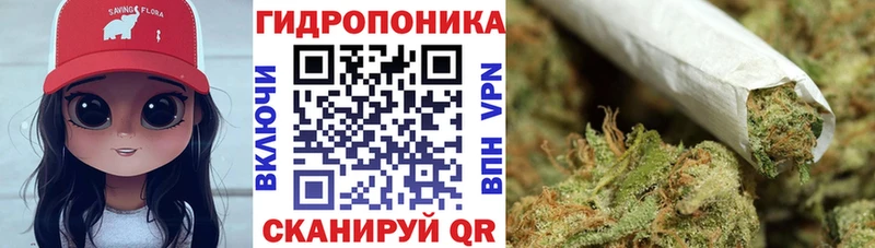 Марихуана MAZAR  Купить закладки  Чкаловск 